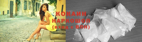 тгк Бородино