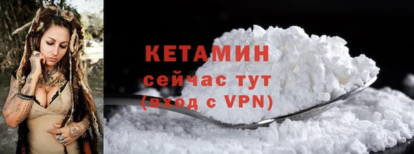 молекула духа Богородицк