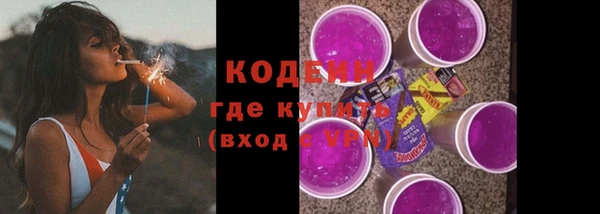 тгк Бородино